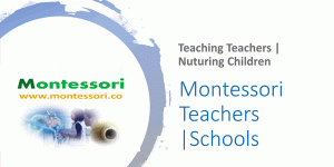 Montessori Company